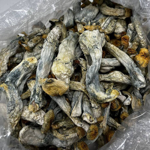 Hillbilly Hillbilly Shrooms